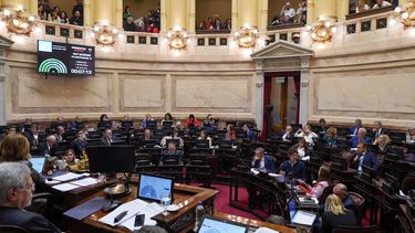 MAYORÍA. El Senado aprobó la Universidad con amplio respaldo. &nbsp;