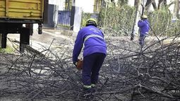 PROBLEMA. La gestión de las ramas es un tema a resolver..