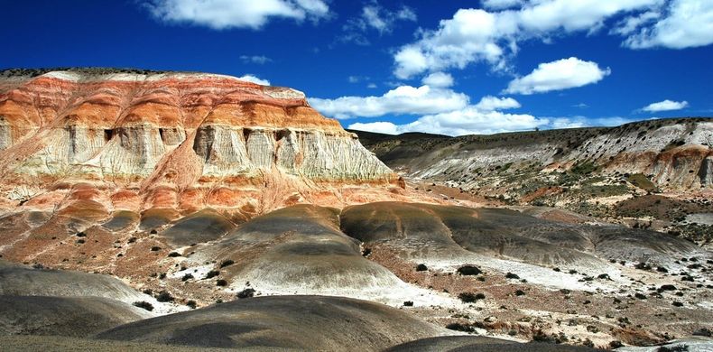 El bosque petrificado más extenso del mundo es argentino. (Clarín)..jpg