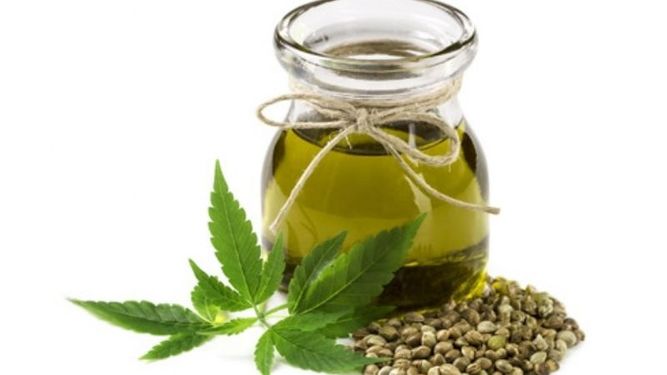Comenzará a funcionar la primera clínica de cannabis medicinal de Pilar