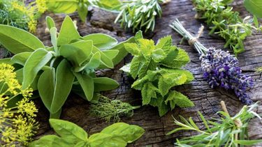 ¿cuales son las flores que protegen las huertas?