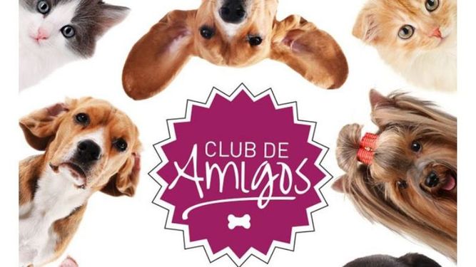 Club de Amigos