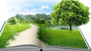 dia mundial de la educacion ambiental