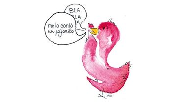 Me lo contó un pajarito