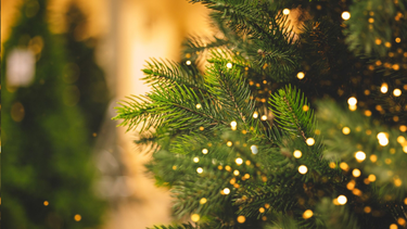 5 amuletos para tu arbol de navidad que atraen abundancia y prosperidad