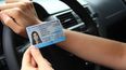 A través de la aplicación Mi Argentina o del sitio web oficial, los conductores pueden gestionar su licencia digital.