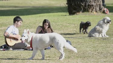 El Servicio Meteorológico Nacional anticipa una jornada ideal para este domingo en Pilar y un gran comienzo de semana en toda la región. El Servicio Meteorológico Nacional anticipa una jornada ideal para este domingo en Pilar y un gran comienzo de semana en toda la región.