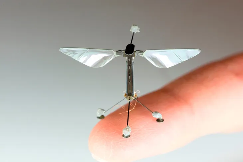 Robots abejas revolucionan la polinización y la agricultura. (Universidad de Harvard)..png