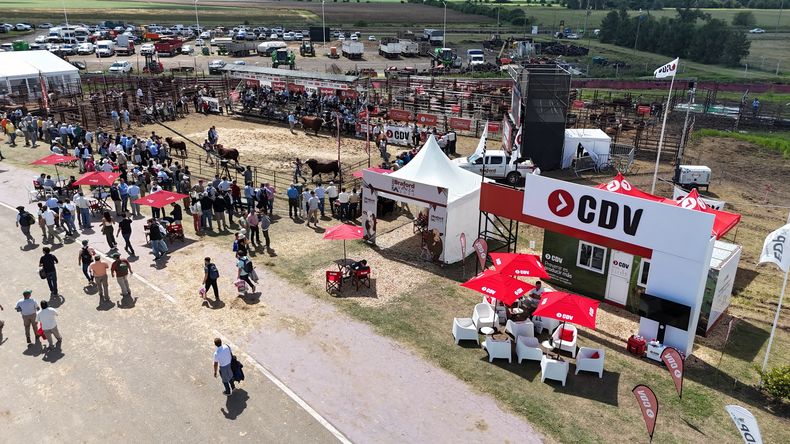 CDV El laboratorio particip por primera vez en Expoagro