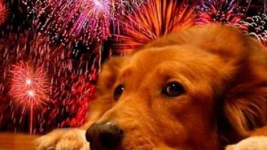 La pasamos mal en Navidad y Año Nuevo