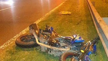 Un perro provocó choque múltiple en Panamericana