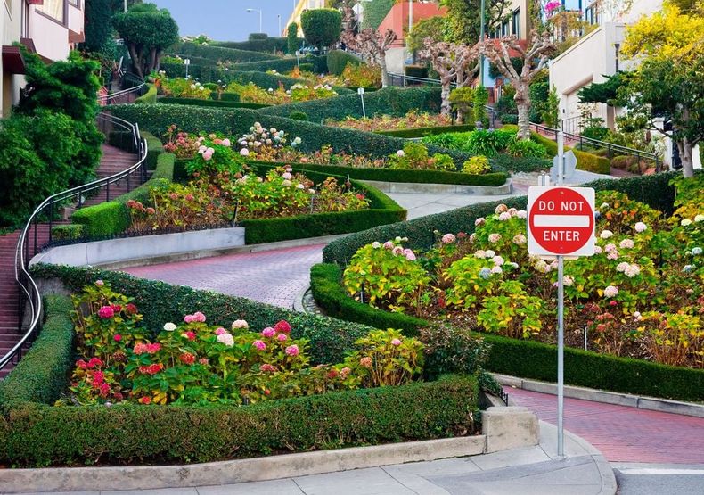 Lombard Street una maravilla urbana en la Bahía de San Francisco. (Meteored).