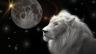 luna nueva en leo y venus star point: ¿como aprovechar su energia?