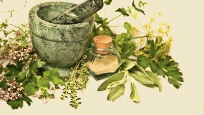 Conoce estas 8 plantas medicinales para los resfríos y las gripes