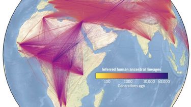 presentan el arbol genealogico mas grande de la humanidad