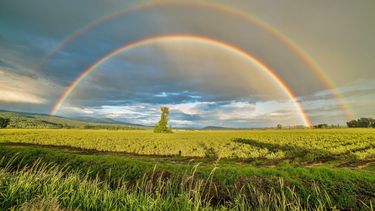 dia mundial del arcoiris: ¿por que se celebra hoy?