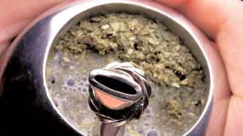 Es importante la calidad de la yerba para que no se tape.  (diariopopular.com.ar)..webp