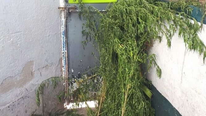 Salió a disparar a la calle y lo detuvieron