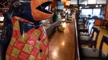 el pingüino para vino: una tradicion de la mesa argentina