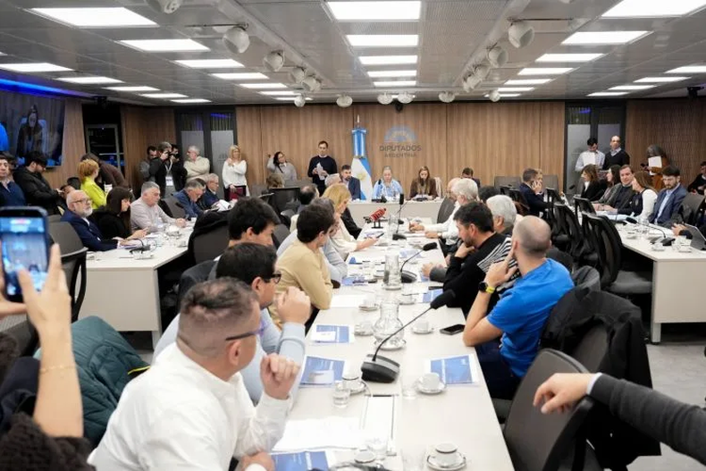 EN CRSIS. Trabajadores y empresarios expusieron en la comisión de Economía de Diputados.