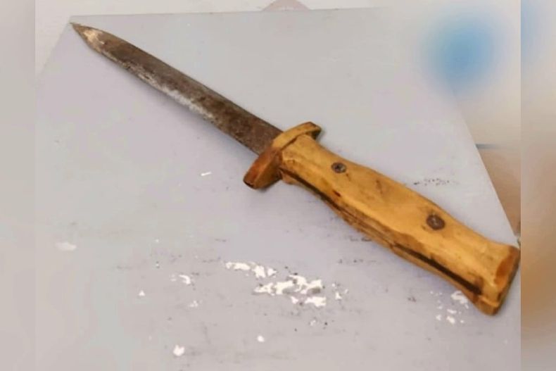 El cuchillo utilizado por la mujer para atacar a su pareja que, aseguró, previamente la había golpeado.&nbsp;
