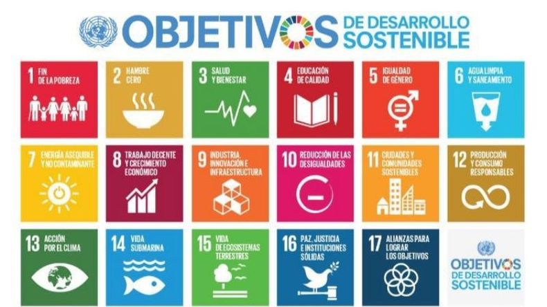 Trabajo de alumnos del Colegio Solar del Pilar..
