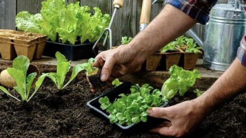 f800x450 115599_167045_5050.jpg