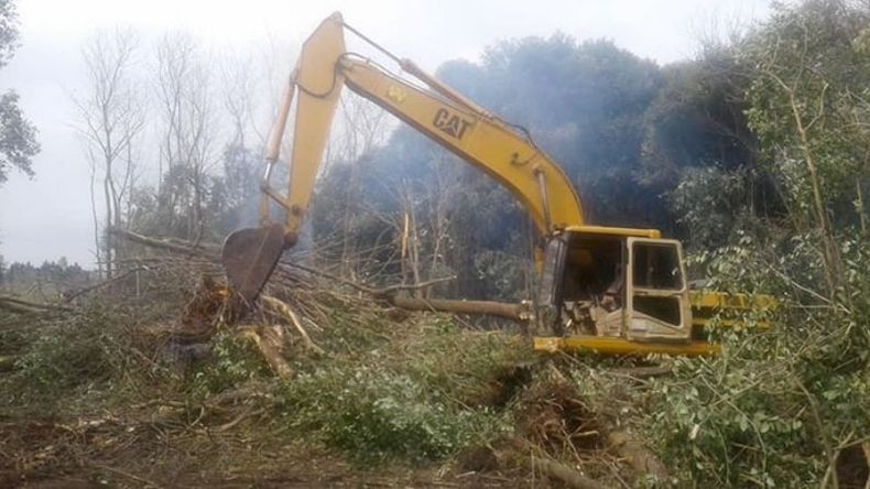 MONTE. Las retroexcavadoras limpian grandes áreas del predio. Aún no está claro qué destino le darán al terreno..
