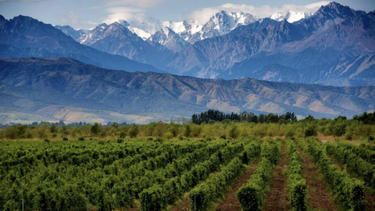 mendoza, elegida entre los 23 mejores destinos del mundo para visitar en 2023