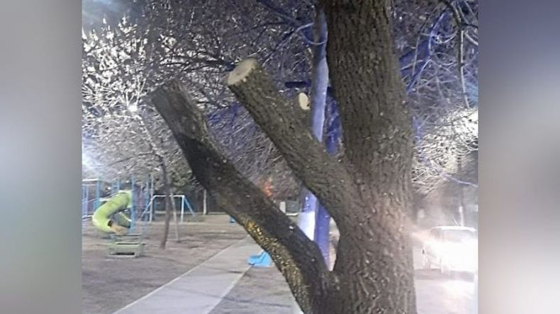 El sujeto fue sorprendido podando a las 23 horas en la plaza de Villa Astolfi. Foto @juancaimpacto.