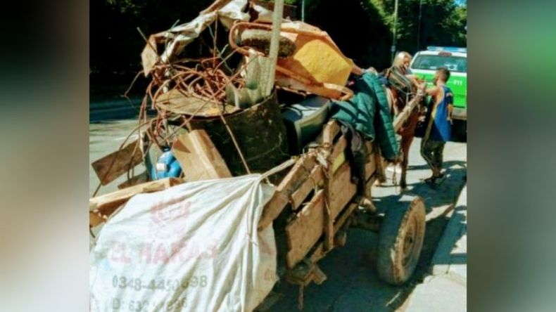 El animal, que presentaba signos de maltrato y desnutrición, arrastraba un carro cargado de bultos. .