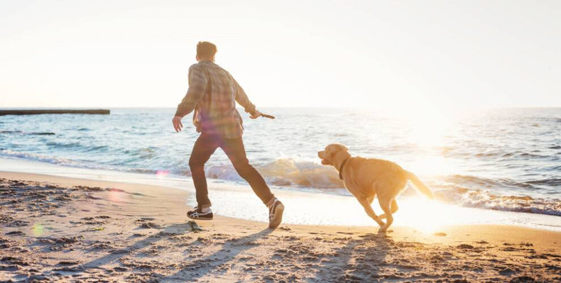 Cada destino tiene algo especial para disfrutar con tu mascota. (dancenter.dk)..png