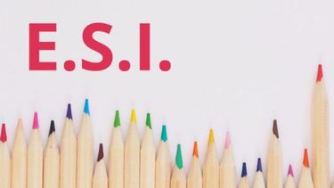 La ESI, fundamental en el desarrollo..