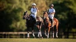 El polo regresa en febrero a Pilar. El polo regresa en febrero a Pilar.