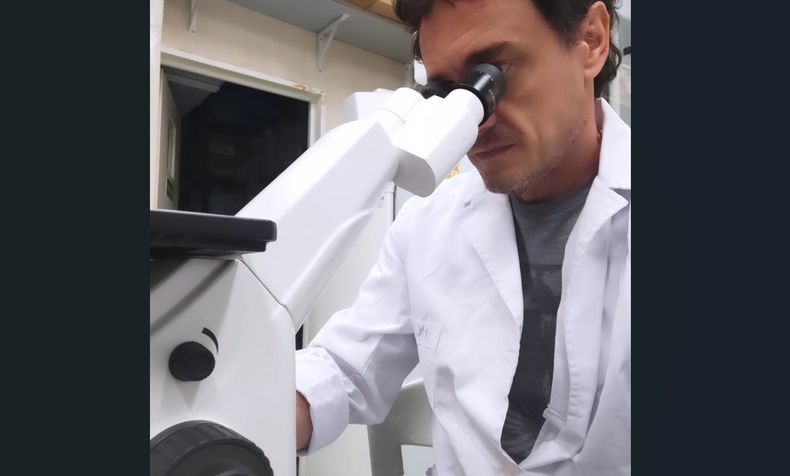 MICROSCOPIO. Paulo Maffía trabajando en el laboratorio.