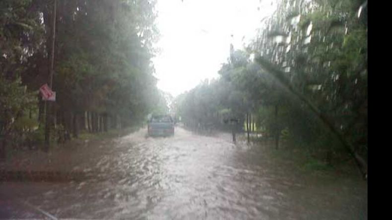 La calle El Petrel, bajo el agua ayer a la mañana..