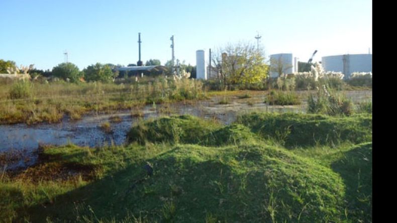 Los vecinos detectaron restos de hidrocarburos en la laguna. Detrás, la fábrica de la polémica..