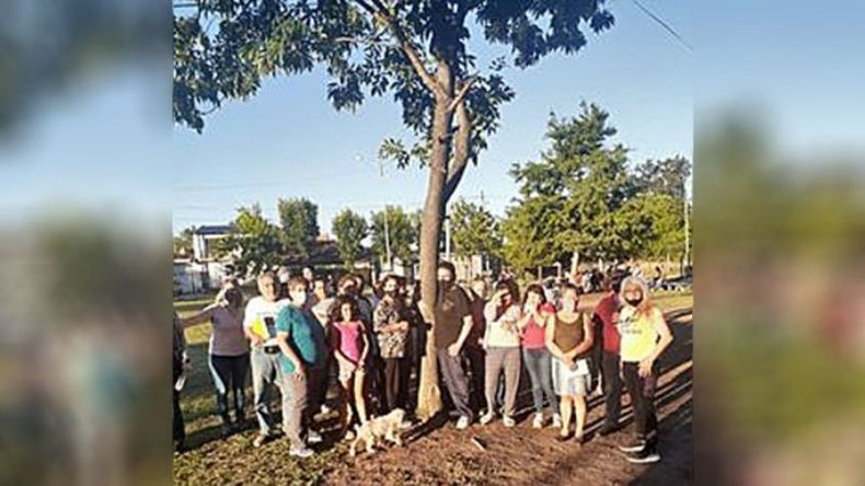Un grupo de vecinos del barrio Lumi nos convocamos a la plaza de nuestro barrio para defender este espacio público y la forestación del lugar, ante la amenaza de que avance un proyecto de polideportivo que implicaría la destrucción de árboles y la pérdida de gran parte del espacio verde del único pulmón que le ha quedado a este barrio. Rosa López..