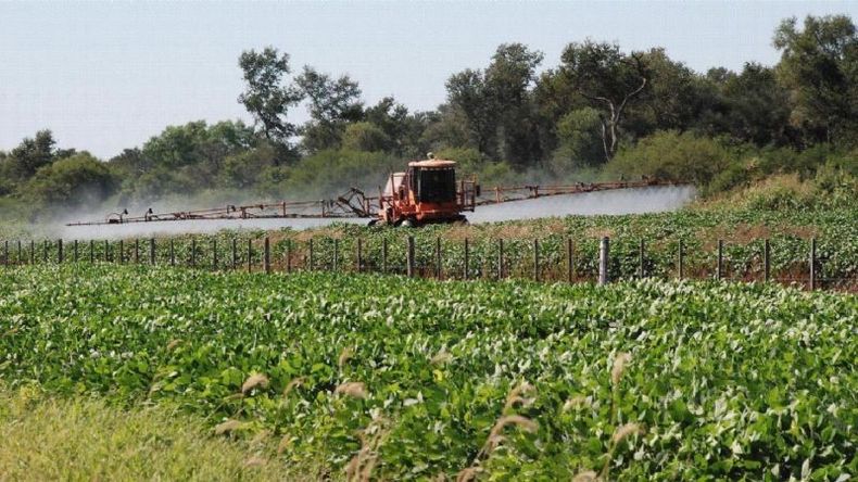 AGROTÓXICOS. Los vecinos denunciaron que los productores volvieron a fumigar..