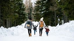 Enterate cuáles son las promociones y cuotas para viajar con descuento en estas vacaciones de invierno 2024 con el nuevo programa Elegí Argentina.