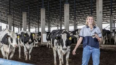la formula familiar con la que lograron que las vacas pasen de producir 19 a 35 litros diarios