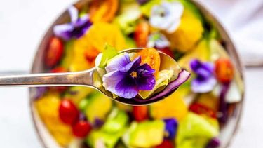 flores de otono comestibles: un jardin en tu cocina