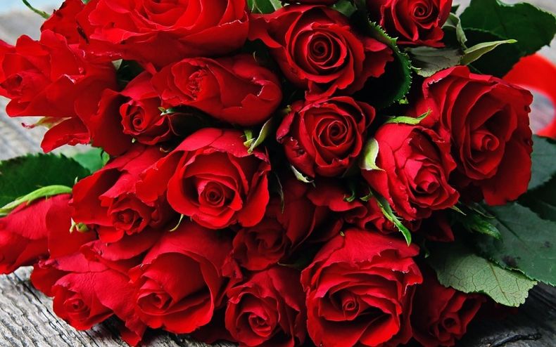 Las rosas rojas son un mal augurio para el amor. (Pixabay)..jpg