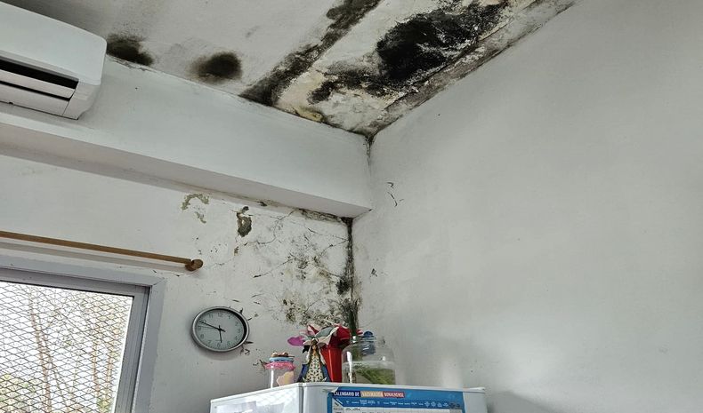 Estimados adjunto fotos del deplorable estado de la sala médica de Villa Rosa, ubicada en Alberto Camus y Almirante Brown, para que por favor publiquen el reclamo. Sr. intendente Achával, ¿es justo que atiendan a la gente en un lugar así? A mí en su lugar me daría vergüenza. Por favor, mande su gente a reparar y poner en condiciones el lugar. Gracias. Ruben Nardini / nardiniruben@gmail.com.