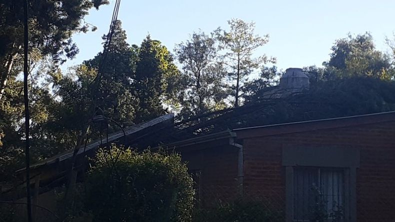 Barrio Los Químicos de la localidad de Fátima. Calle Rembrandt y Picasso, una rama cayó sobre el techo de una casa. .