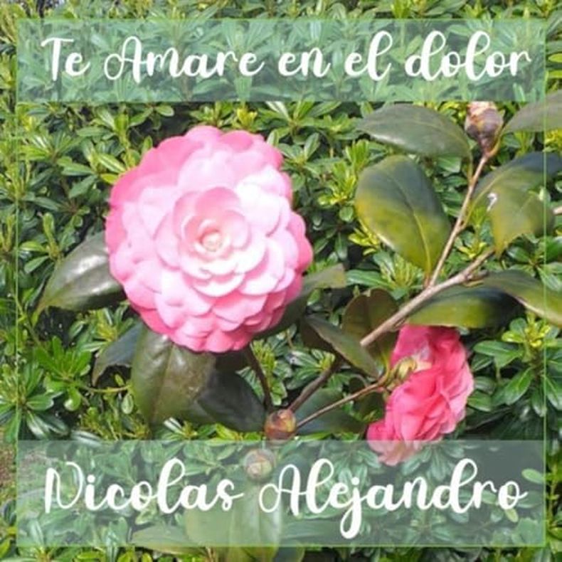 Nicol&aacute;s Alejandro.