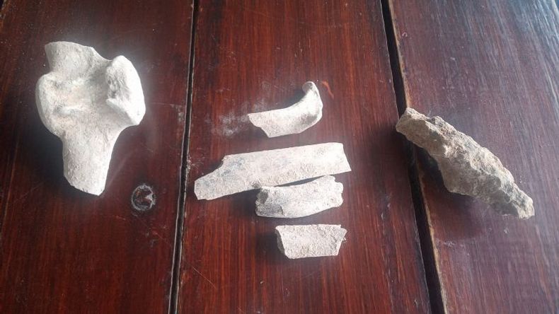 SEGUNDA TANDA. Los restos encontrados este sábado..