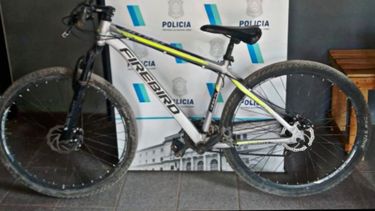 Robada y recuperada: Bicicleta rodado 29 marca FIREBIRD