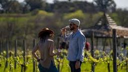 Vinos Buenos Aires: experiencias de enoturismo que invitan a descubrir la Provincia Vinos Buenos Aires: experiencias de enoturismo que invitan a descubrir la Provincia
