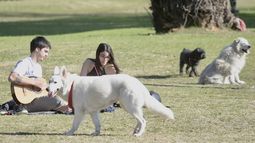 El Servicio Meteorológico Nacional anticipa una jornada ideal para este domingo en Pilar y un gran comienzo de semana en toda la región. El Servicio Meteorológico Nacional anticipa una jornada ideal para este domingo en Pilar y un gran comienzo de semana en toda la región.